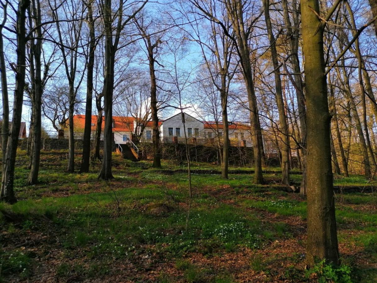 Hotel Kreuzbergbaude Beim Berzdorfer See Mit Wohlfuehl Sauna Markersdorf Экстерьер фото